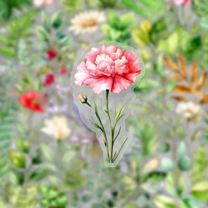 Watercolor pink carnation sticker detail, transparent waterproof floral decor for crafts.