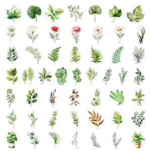Watercolor plant stickers botanical leaf fern floral stickers for journal laptop DIY decor detail