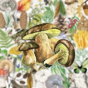 Close-up detail of retro forest mushroom PET sticker, watercolor design for journal DIY.