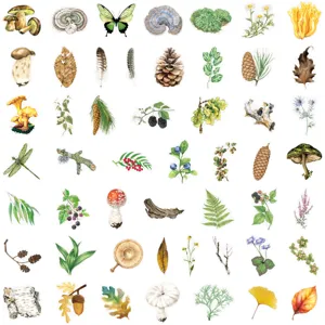 Detail view of retro forest botanical PET stickers showcasing various watercolor plants.