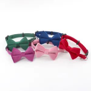 Velvet bowtie pet collar detail, soft suede material for small dogs and cats, colorful design.