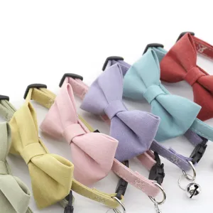 Colorful pet collar with cute bowtie and bell, perfect detail for small cats and dogs.