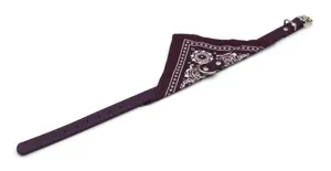 Purple pet collar with paisley bandana detail showing metal D-ring and adjustable buckle.