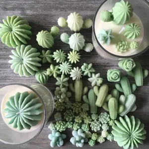 Set of succulent and cactus scented candles silicone molds for home decoration and crafts.