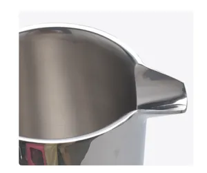 Edelstahl Kaffeekanne Detailansicht mit poliertem Innenraum und präziser Ausgusstülle.