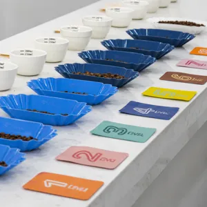 Vassoio per degustazione di chicchi di caffe in plastica, piatto espositivo a barca.