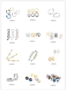 Detailed view of stainless steel body piercing jewelry assortment with multiple diverse styles.