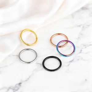 Detailed shot of multi-colored segment piercing rings showcasing various metallic finishes.