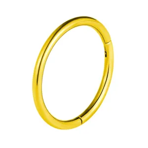 Gold tone stainless steel hinged segment ring detail view for daily piercing body jewelry.