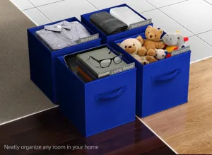 Collapsible fabric storage cubes set with handles and label holders for home organization.