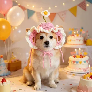 Cute handmade crochet pet hat with daisy flower for cats and dogs, detailed party view.