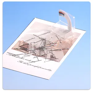 Alfileres de cabeza blanca para costura posicionamiento de ropa accesorios caja transparente.
