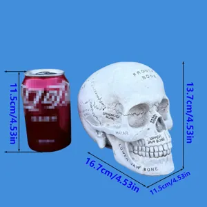 Resin skull ornament Halloween decoration anatomical model desktop display prop 13.7cm