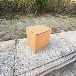 Plain brown cardboard box for packing and shipping versatile storage container packaging item