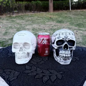 Detailed view of resin skeleton skull ornaments, featuring anatomical and astrological design.