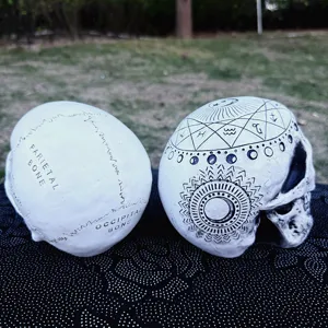 Detailed close-up of decorative resin skull with anatomical and astrological patterns.