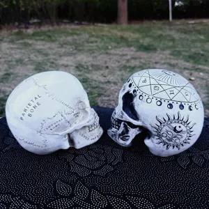 Resin astrological skull ornament, perfect for Halloween party and gothic home decor.