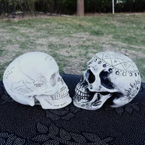 Resin anatomical and astrological skull ornaments set for Halloween and home decor.
