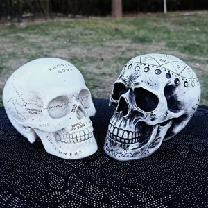 Resin astrology skull ornaments, anatomy skeleton decor for Halloween, festival props set.