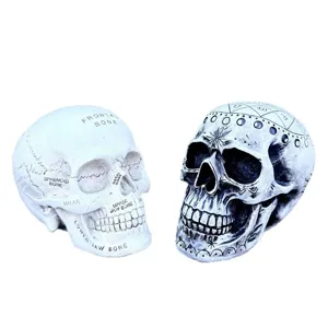Resin skull ornament set with anatomical model and astrological decorative skull for Halloween decor.