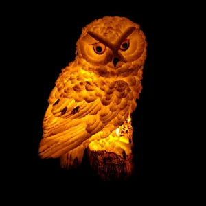 Solar owl LED garden light waterproof outdoor yard lawn decoration lamp warm lighting detail view