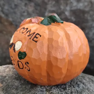 Resin pumpkin ornament with welcome text, perfect for autumn harvest and Halloween decor.