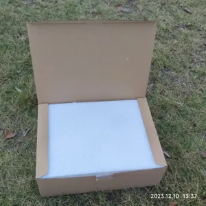 Cardboard packaging box with white styrofoam cushioning for religious resin animal crafts detail