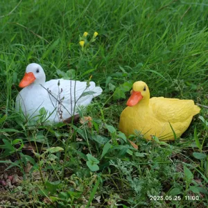 Cute resin duck figurine pair for garden and home desktop decor, waterproof outdoor ornaments.