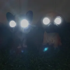 Solar dog garden lights resin animal statues outdoor waterproof lawn yard LED lighting decor