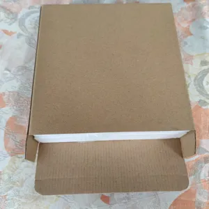 Kraft paper packaging box with protective white foam inside, sturdy design for safe shipping.