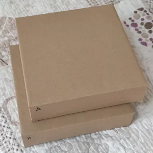 Brown cardboard storage boxes set of two, square paper packing boxes for product display.