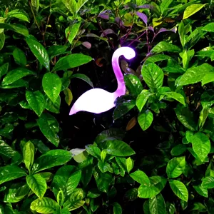 Solar flamingo LED garden light close-up, glowing pink animal landscape lighting for outdoor yard decor.
