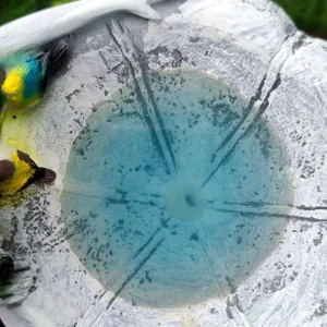 Resin garden bird bath water basin ornament detail view, outdoor courtyard decor craft.