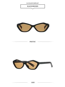 Geometric small frame sunglasses, black frame brown lens retro fashion outdoor street style shades.