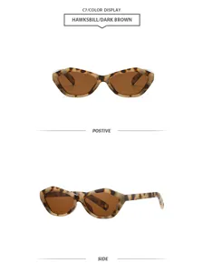 Fashion geometric small frame sunglasses, retro tortoiseshell dark brown lenses, cool style.