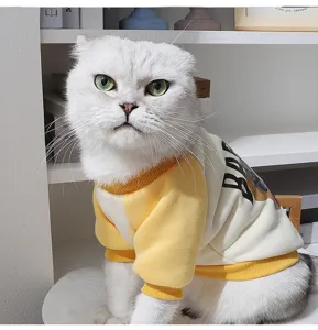 Cute cat winter warm fleece sweatshirt with color block design and bear print detail.