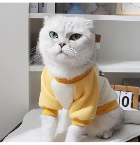 Cute cat winter warm fleece sweatshirt with contrast raglan sleeves and adorable bear detail.