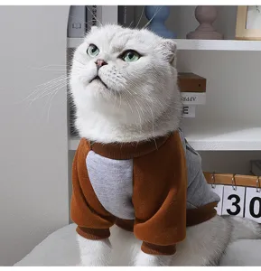 Detail view of the cute colorblock pet sweater for cats and small dogs, warm and cozy winter wear.