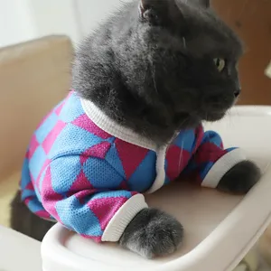 Gros plan d'un chat mignon portant un pull pour animaux à motif losanges bleu et rose.