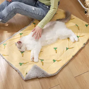 Cute carrot pattern pet sleeping mat, warm plush cat bed for autumn and winter seasons.