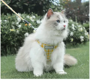 Vista dettagliata di un gatto carino con una pettorina a quadri gialli e guinzaglio abbinato.