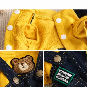Cute dog autumn winter sweatshirt clothing set with cute bear patch for small puppies.