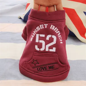 Warm fleece pet hoodie with cute letter embroidery, soft winter dog clothes detail view.