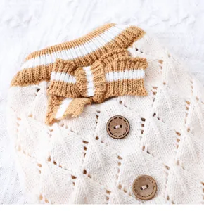 Detailaufnahme eines süssen Hundepullovers aus Strick mit Schleife und Knöpfen für Kleinhunde.