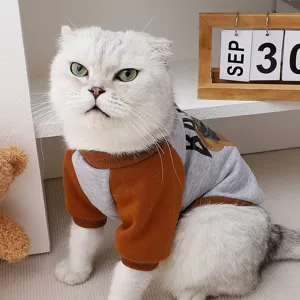 Cute Bear Pattern Winter Warm Cat Clothes Korean Style Fleece Pull-Over Two-Legged Pet Winter Outfit Apparel