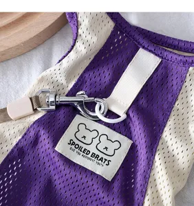 Breathable mesh dog harness vest with leash ring and cute bear patch detail for small dogs summer.