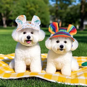 Cute pet sun hat for small dogs and cats, perfect spring summer outdoor photo accessory.