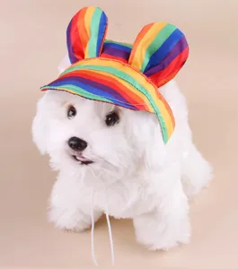 Colorful rainbow pet hat for small dogs and cats, cute sun protection hat for summer photos.