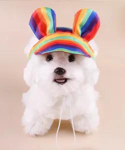Cute rainbow striped pet hat for small dogs and cats, perfect for outdoor photoshoots.