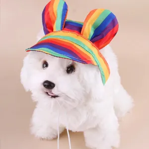 Cute rainbow pet hat for small dogs and cats, perfect for spring and summer outdoor sun protection.